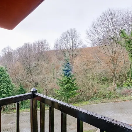 Spacious W Garden Fireplace In